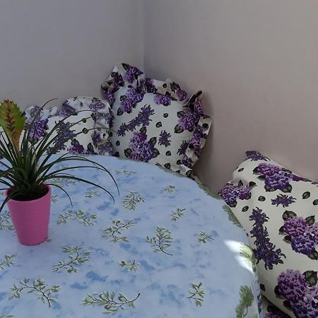 Mini Apartment Petra - Rooms Purple & Green With Kitchen And Garden Dubrovnik Kültér fotó
